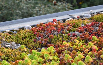 the cost of Radclive green roof installation