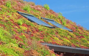 Radclive living roof systems
